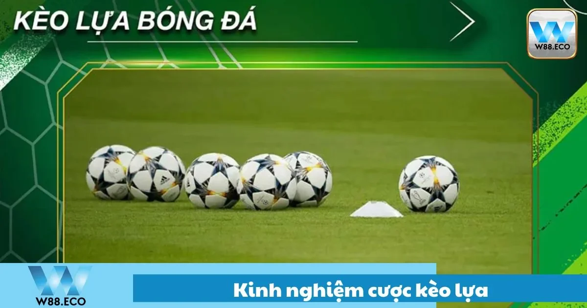 Kinh Nghiệm Cược Kèo Lựa Cần Trước Khi Cược Tại W88 1 Kinh nghiệm cược kèo lụa hiệu quả