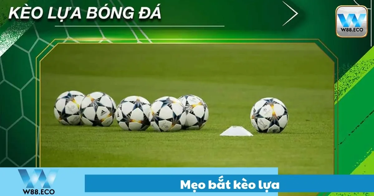 Mẹo Bắt Kèo Lựa Dễ Trúng Tại W88 – Mẹo Nhỏ Nhưng Có Võ 1 Cách chọn kẹo lựa dễ ăn trúng