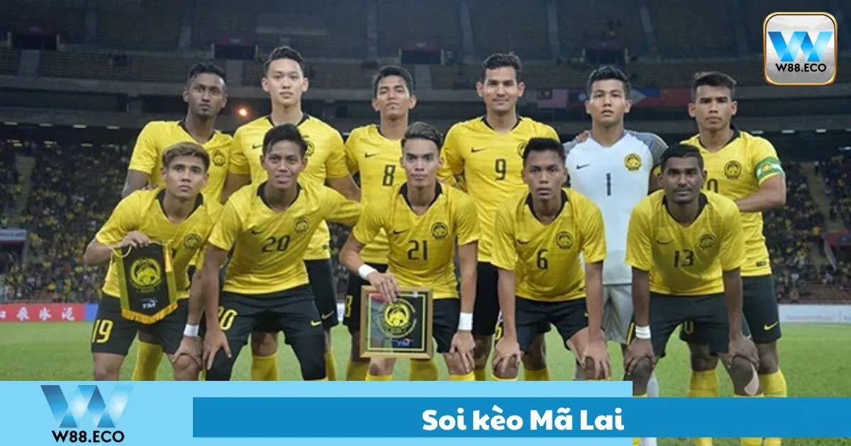 Soi Kèo Mã Lai Tại W88: Cơ Hội Lớn Cho Người Biết Phân Tích 1 Soi kèo mã lai - thắng lớn